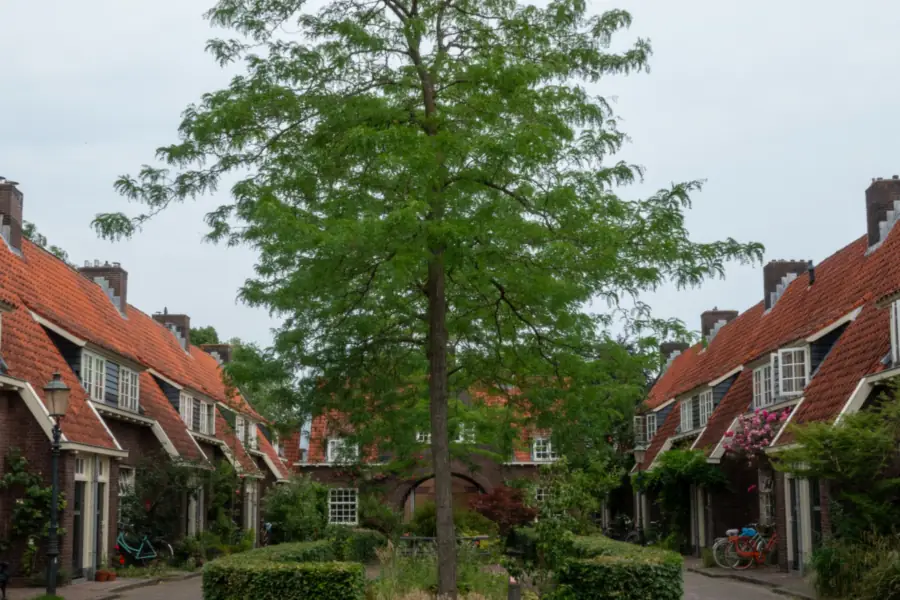 Tuindorp met rijtjeshuizen met rode pannendaken rond een plantsoen met een boom, het type wijk waar bodemdaling speelt