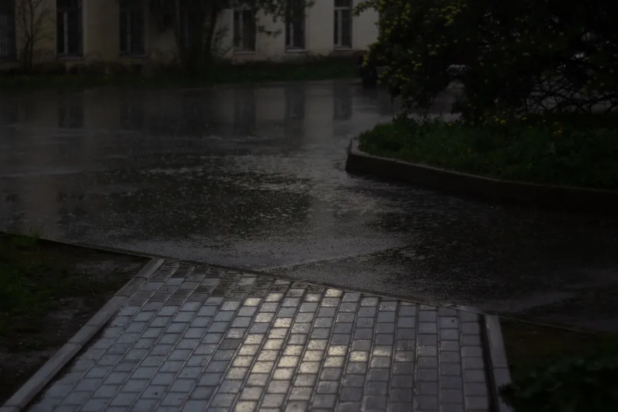 Natte bestrating en een plas water langs een trottoirband na een regenbui, typisch voor een verzakte tuin in Amsterdam